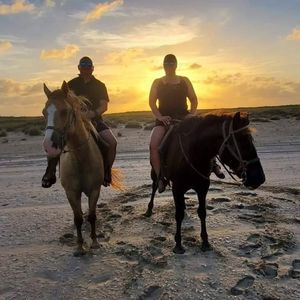 Meet your Posher, Isabel